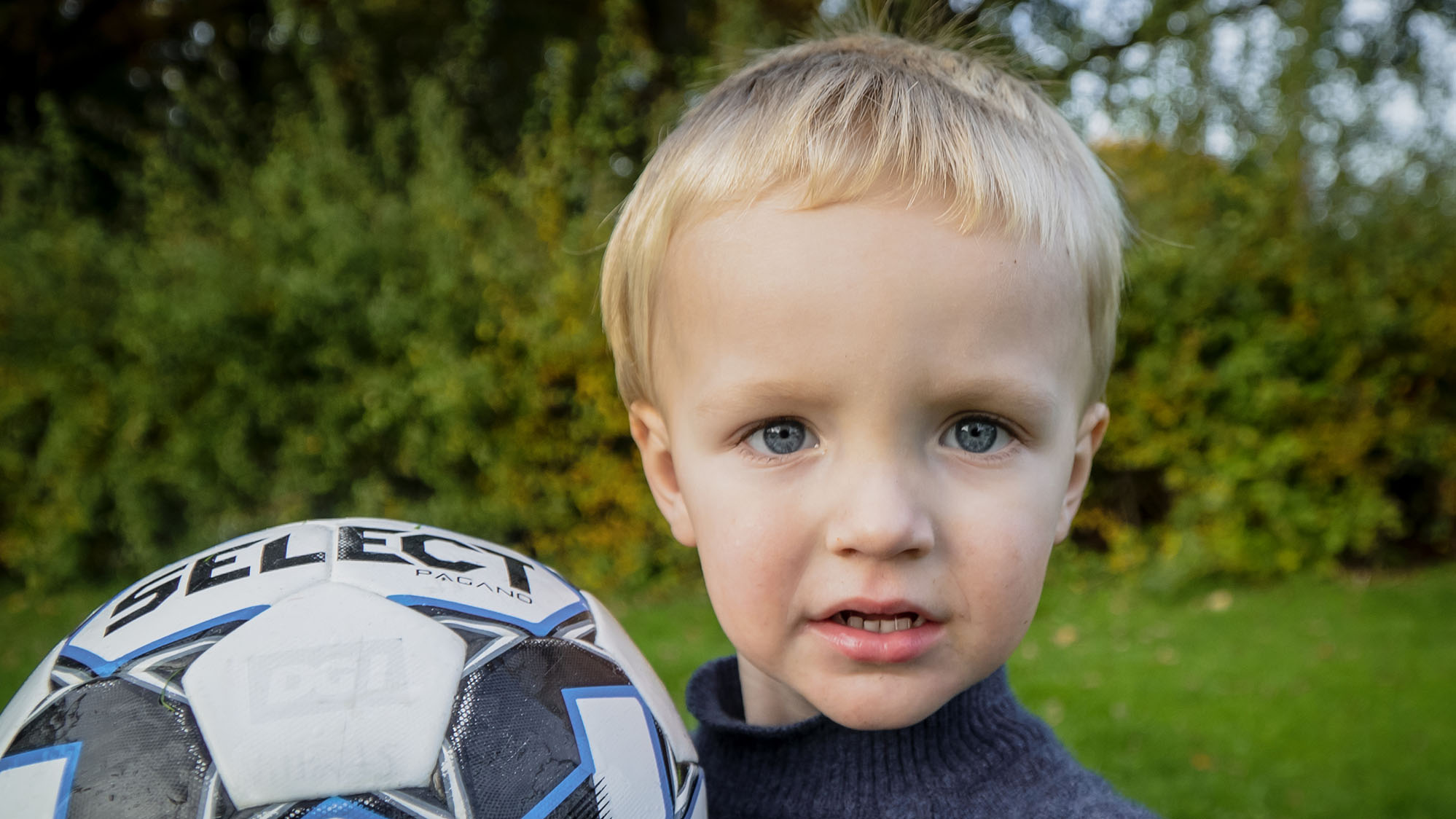 Louie, der fylder to år i 2022.