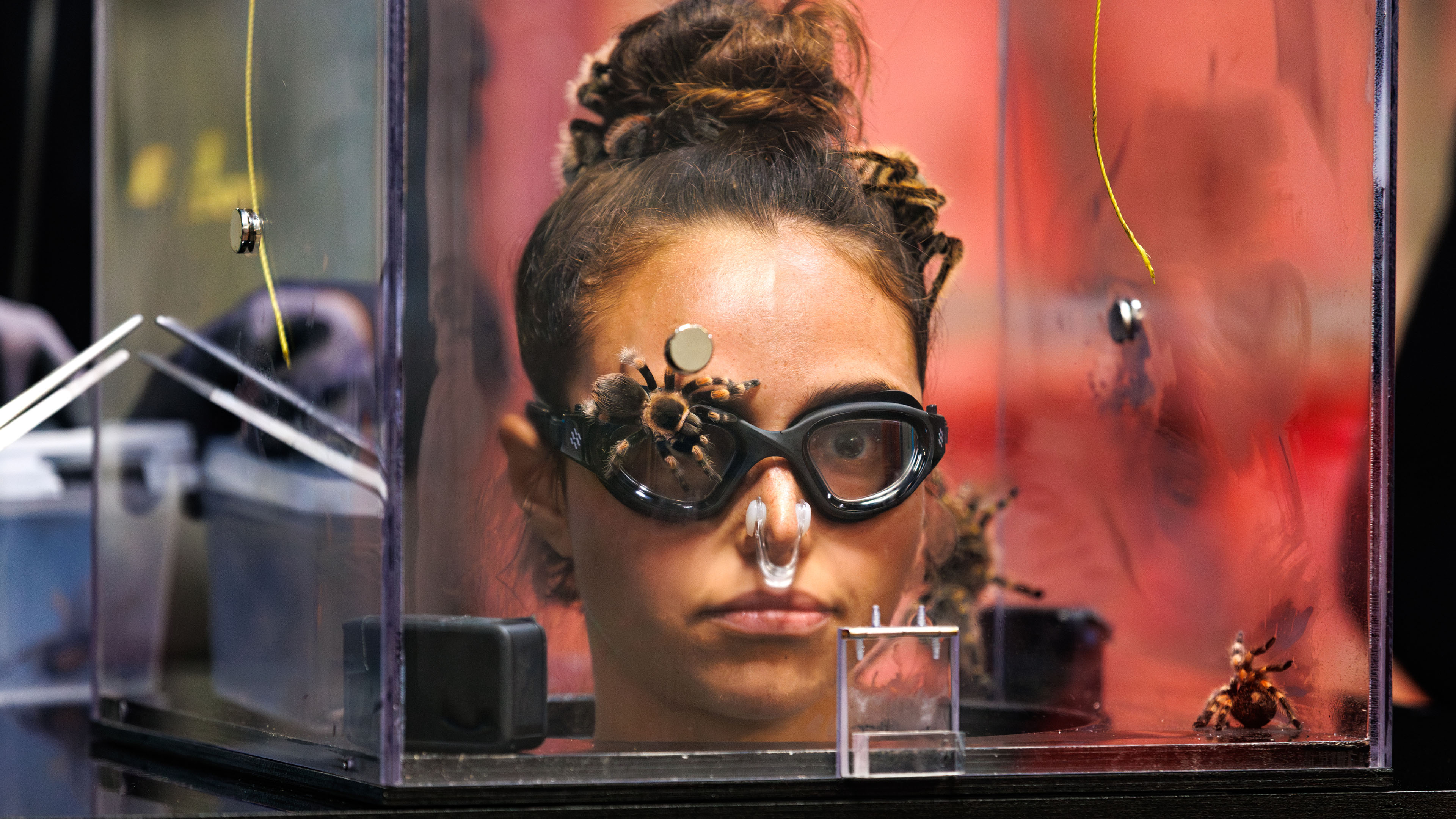 Deltagerne bliver presset til det yderste, når de bliver kastet ud i ekstreme udfordringer.