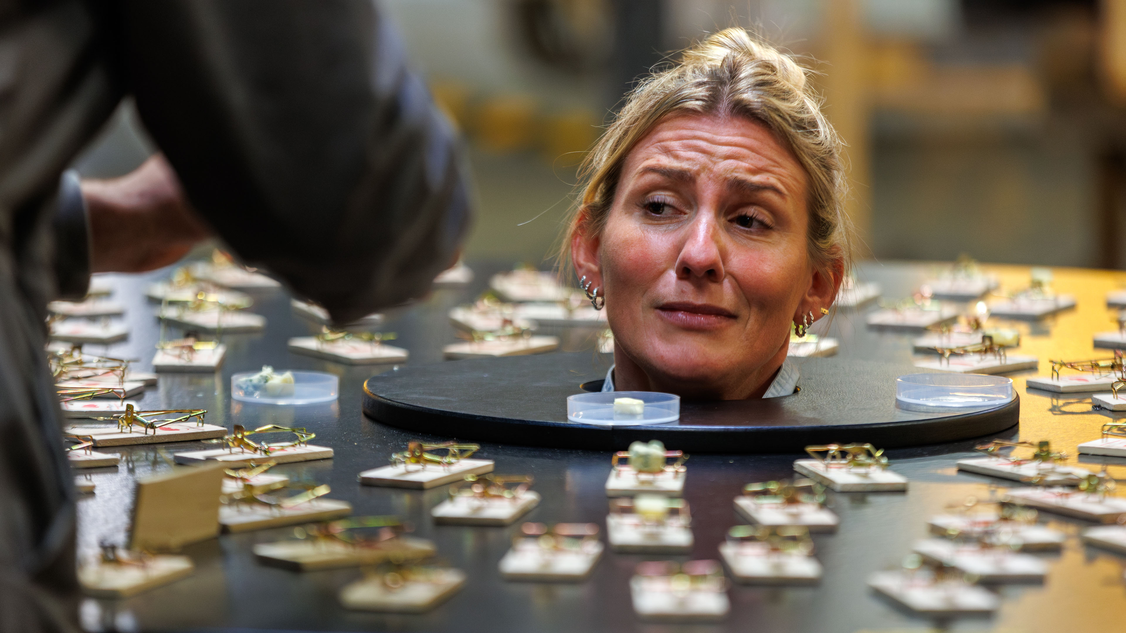 Deltagerne bliver presset til det yderste, når de bliver kastet ud i ekstreme udfordringer.