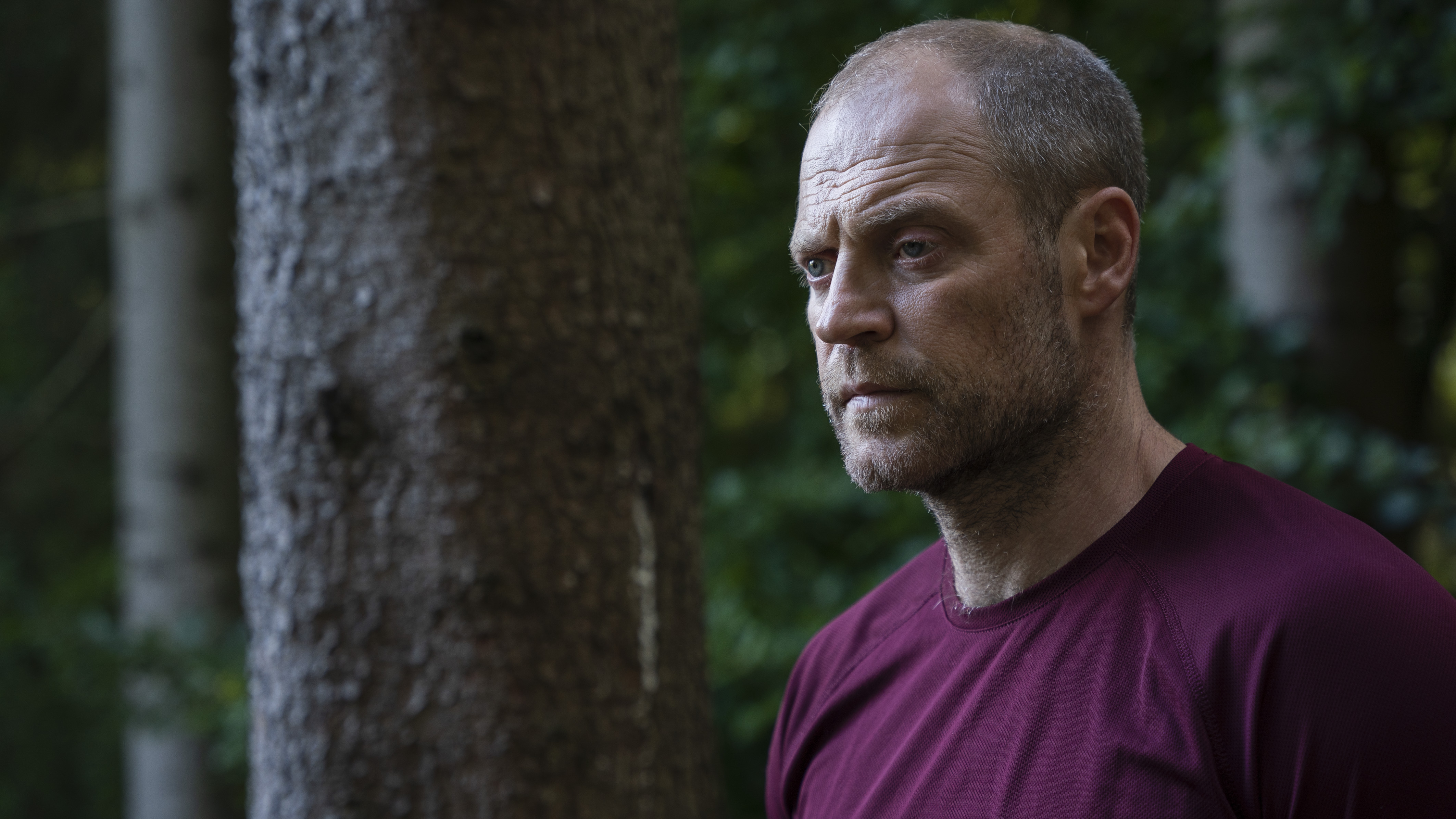 Oxen (Jacob Hauberg Lohmann).